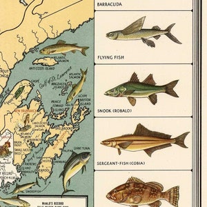 Pictorial Map Print of the USA's Big Game Fish circa 1936 Fishing Art Poster image 5