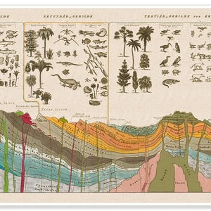 Geologie-Karte Querschnitt Wand Kunst Druck - Verschmelzt die Geschichte des Lebens auf der Erde & Kunstlerigkeit |  Geologische Wissenschaftliche Bildung Geschenk Vintage Decor