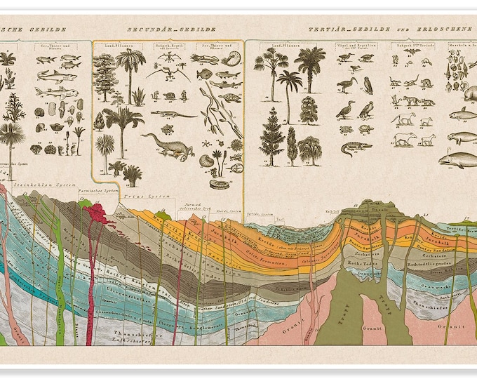 Geology Chart Cross Section Wall Art Print - Merges History of Life on Earth & Artistry |  Geological Science Education Gift Vintage Decor