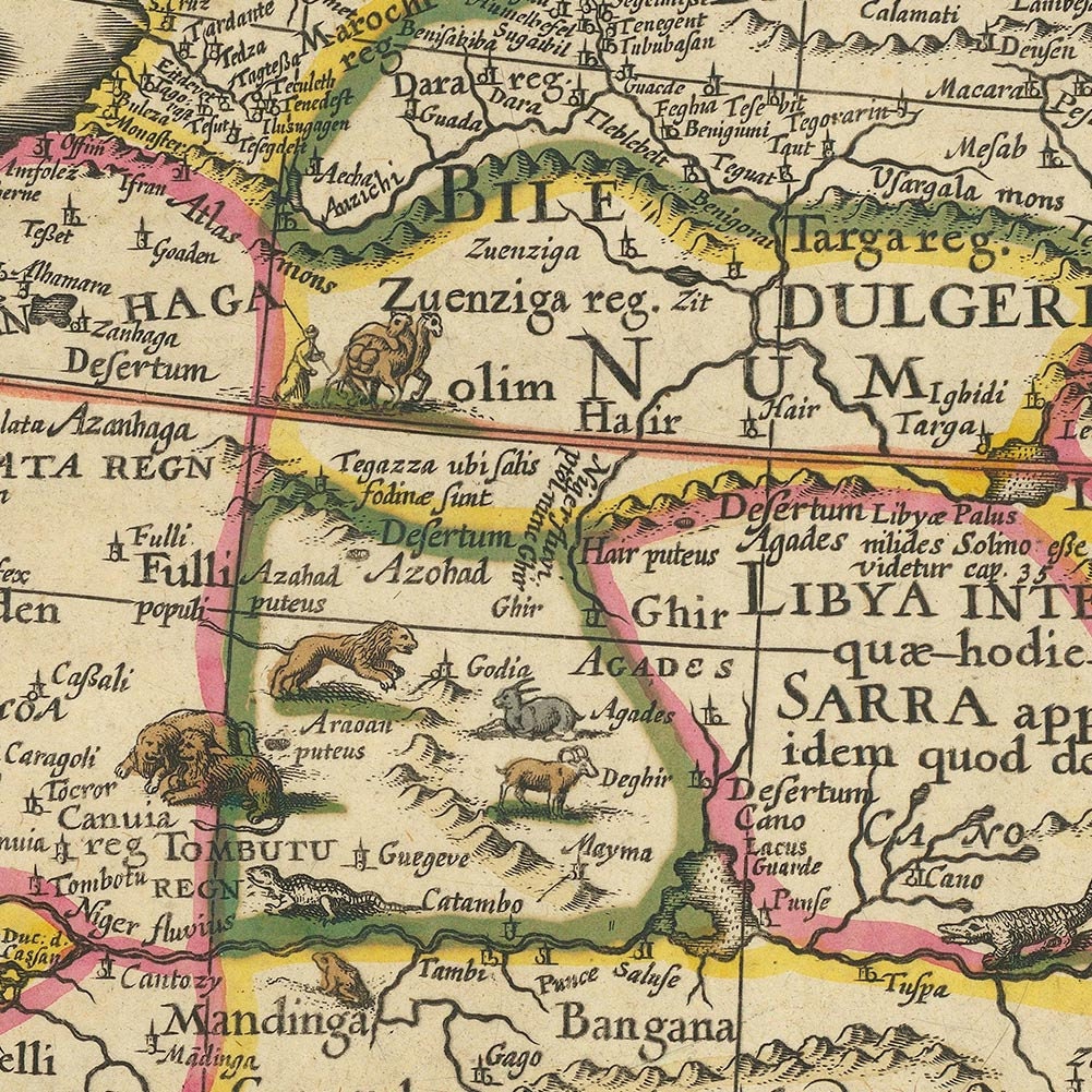 ビンテージ旧世界アフリカ プリント |アフリカ新星記述地図、ウィレム