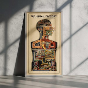 May include: Framed vintage-style poster titled "THE HUMAN FACTORY" with a detailed illustration of the human body's internal systems. The artwork depicts the body as a factory, showcasing the chemical functions. The poster is in a silver frame.