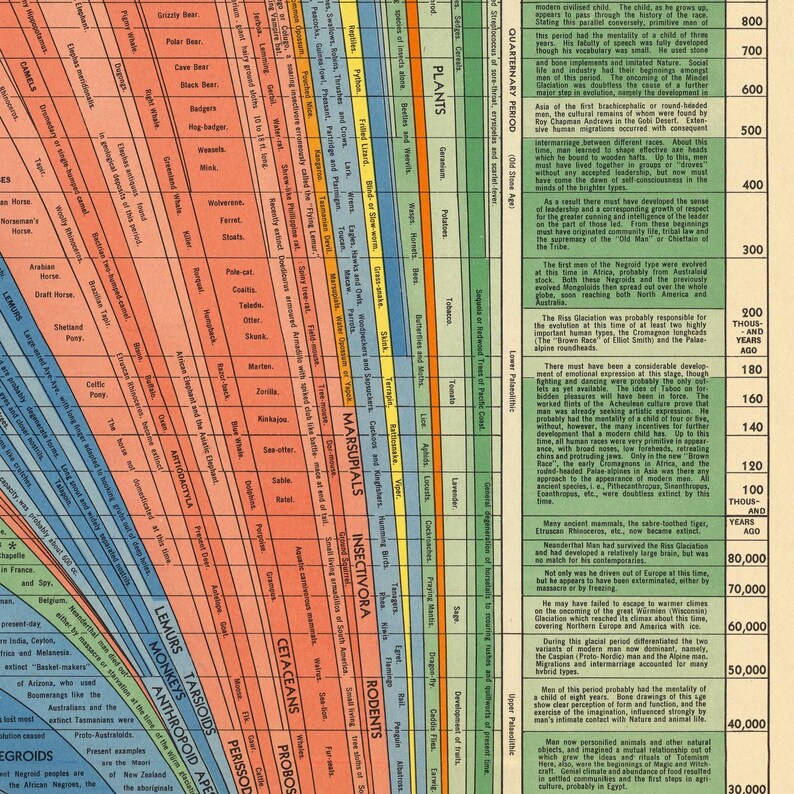 The Histomap of Evolution: Emergence & Progression of Life | Vintage ...