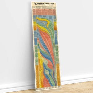 L'istogramma dell'evoluzione: l'emergere e la progressione della vita / Cronologia vintage dell'evoluzione / Stampa artistica da parete, poster educativo vintage