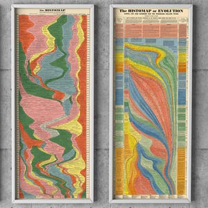 May include: Two framed vintage prints titled "The Histomap" and "The Histomap of Evolution." The prints feature colorful, flowing charts with text, depicting the history of life and mankind. The frames are white, and the background is a gray concrete wall.