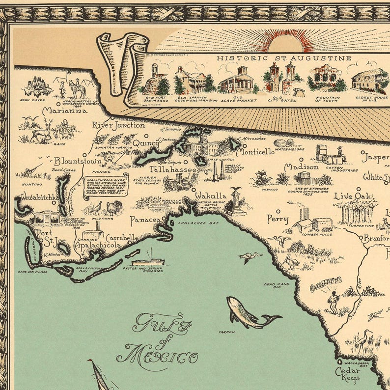 Pu&ograve; includere: Una mappa illustrata in stile vintage della Florida che mostra il Golfo del Messico, citt&agrave; costiere e punti di riferimento. La mappa include etichette di testo per localit&agrave; come Tallahassee e St. Augustine, con disegni di fauna e navi.