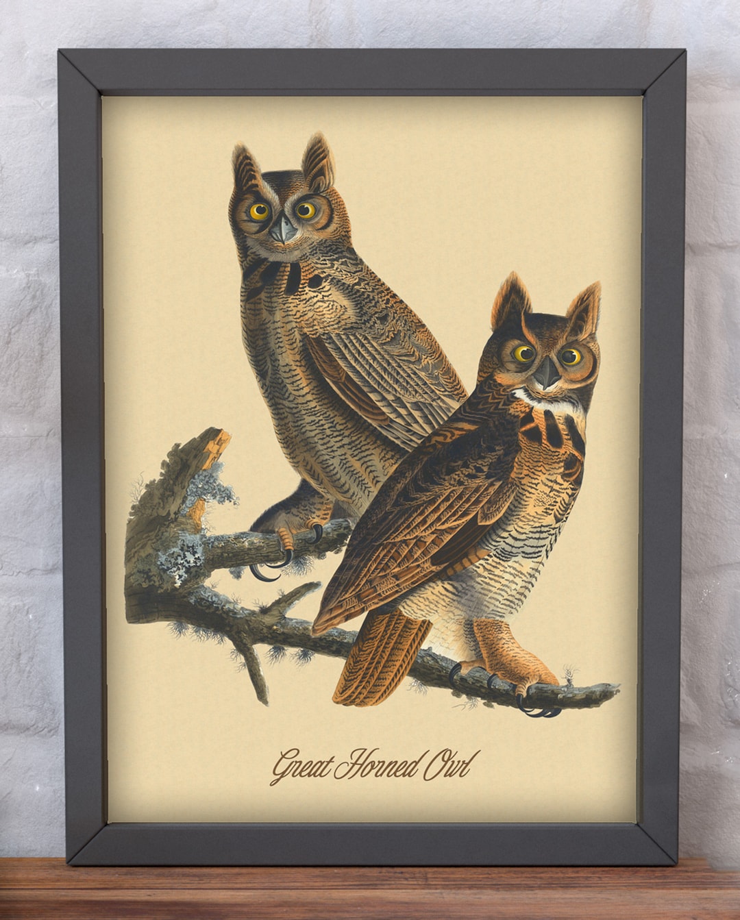 Audubon Great Horned Owl Print Owl Wall Art Audubon Art Ornithology Art