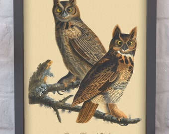 Audubon Great Horned Owl Print | Owl Wall Art | Audubon Art | Ornithology Art Decor | Audubon Bird Print | John James Audubon Art Print