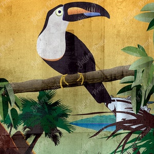 Amazon Jungle Toucan Travel Print - Hamburg-Amerika Cruise Line - Póster de arte de estilo vintage