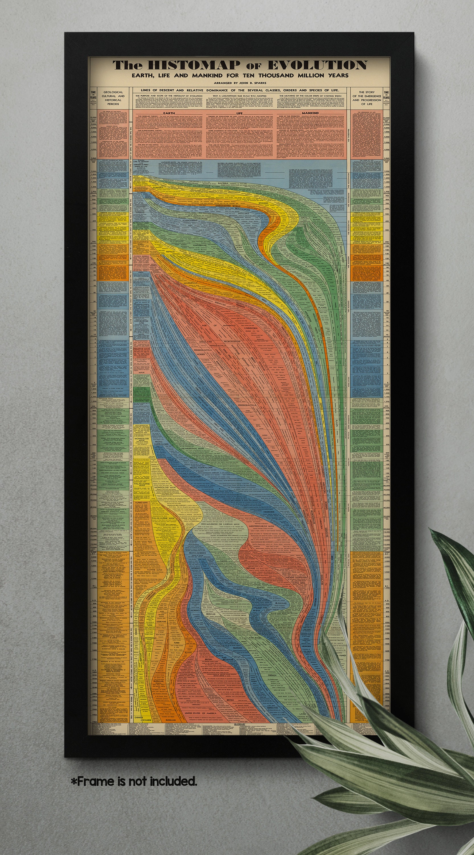 The Histomap of Evolution: the Emergence and Progression of Life