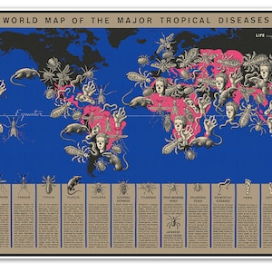 Carte du monde des principales maladies tropicales par Boris Artsybasheff vers 1944 - Représente les régions sujettes au paludisme, à la dengue, au typhus, au choléra, etc.