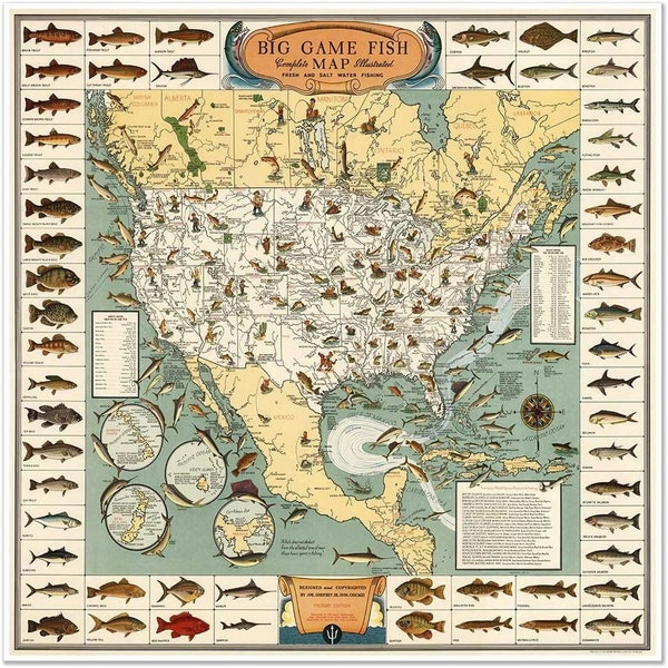 Pictorial Map Print of the USA's Big Game Fish circa 1936 - Fishing Art Poster