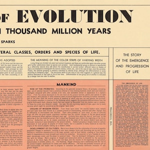 The Histomap of Evolution: Emergence & Progression of Life | Vintage ...