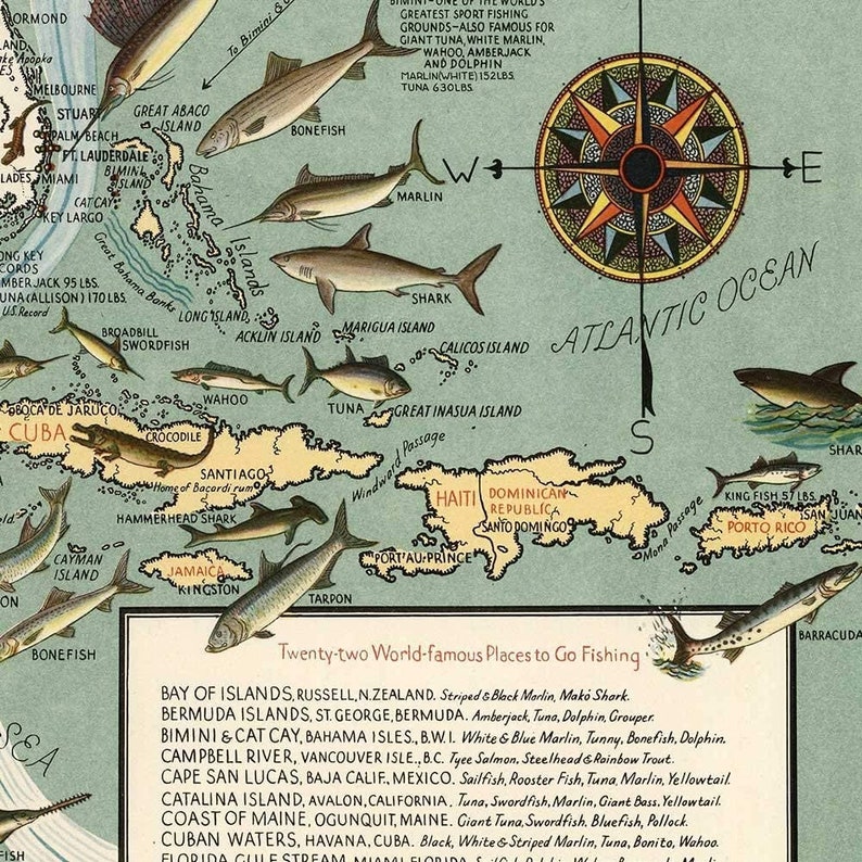 Pictorial Map Print of the USA's Big Game Fish circa 1936 Fishing Art Poster image 6