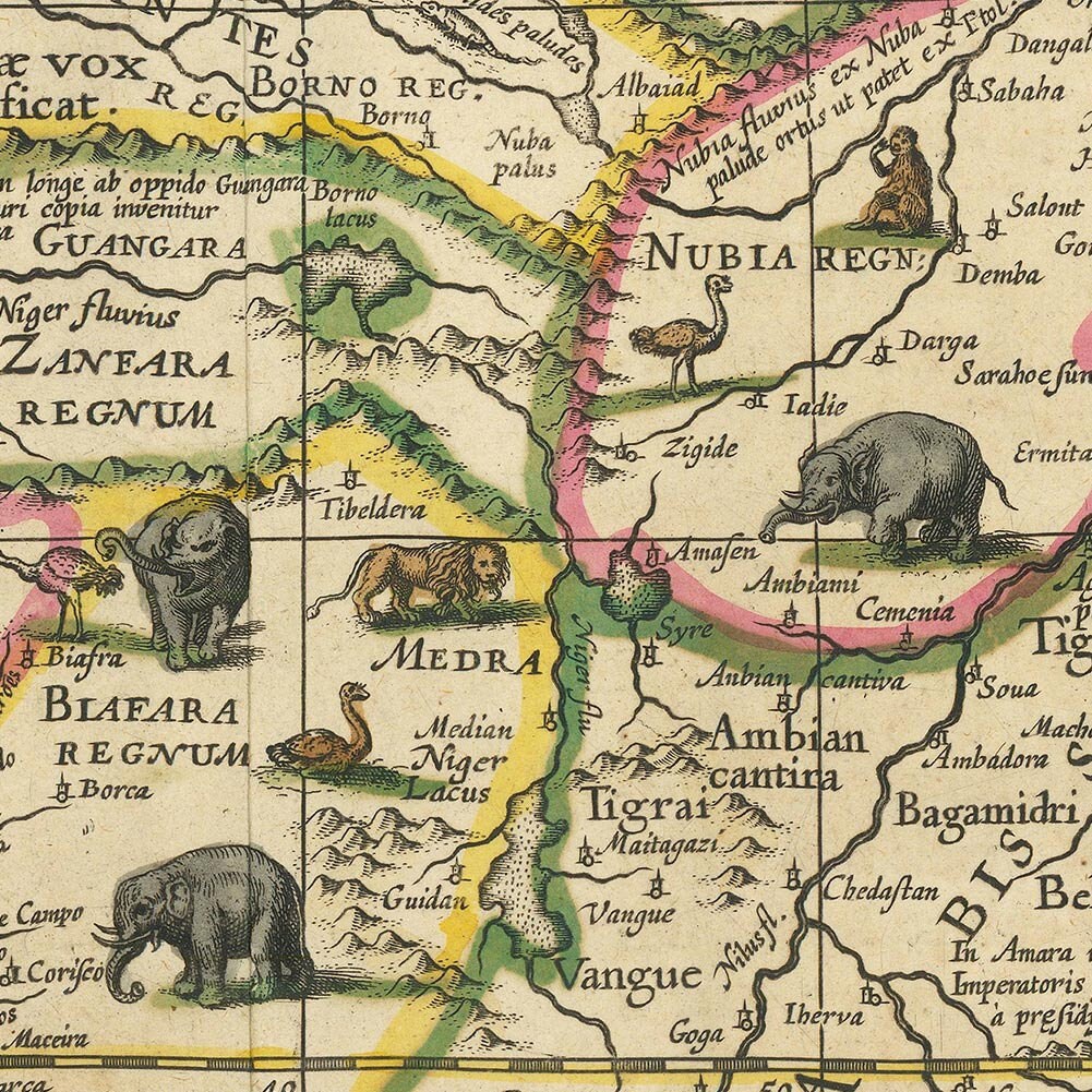 ビンテージ旧世界アフリカ プリント |アフリカ新星記述地図、ウィレム