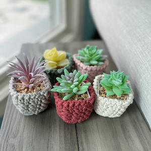 May include: Five small potted succulents in crocheted plant pots. The pots are in various colors, including gray, pink, and red. The succulents are green and yellow.