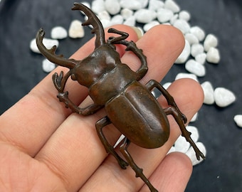May include: A dark brown, metallic stag beetle figurine featuring prominent, branched mandibles, a segmented body, and six articulated legs. The surface of the beetle has a smooth, slightly weathered texture with subtle variations in the bronze-toned finish.