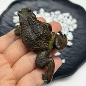 Könnte beinhalten: Eine kleine, dunkel bronzefarbene Metallfigur in Form einer Kröte. Die Oberfläche weist eine stark texturierte, höckrige und warzige Hautstruktur auf, die für eine Kröte charakteristisch ist, mit ausgeprägten Gliedmaßen und Füßen.
