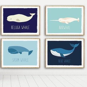 Stampa di balene Ocean Art per la cameretta dei bambini - Set nautico di quattro stampe da 11x14&quot; (Narvalo, Capodoglio, Balena Beluga, Balenottera azzurra) per la cameretta dei bambini