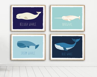 Ocean Art Whale Print Nursery Decor - Nautical Set of Four 11x14" Prints (Narwhal, Sperm Whale, Beluga Whale, Blue Whale) for boy girl room