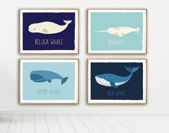Ocean Art Whale Print Nursery Decor - Nautical Set of Four 11x14" Prints (Narwhal, Sperm Whale, Beluga Whale, Blue Whale) for boy girl room