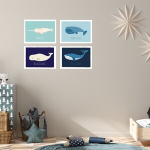 May include: Four framed whale illustrations. The top left features a narwhal, the top right a sperm whale, the bottom left a beluga whale, and the bottom right a blue whale. Each illustration has the whale's name below it. The artwork is displayed in a child's room.