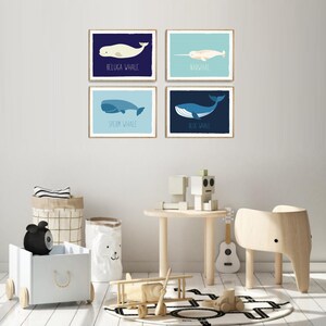 May include: Four framed art prints featuring illustrations of whales: Beluga Whale, Narwhal, Sperm Whale, and Blue Whale. Each print has a different background color and the whale's name is printed below the illustration. The prints are displayed in a child's room.