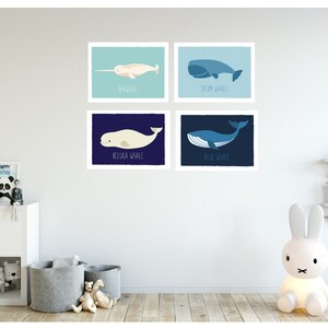 May include: Four framed art prints featuring illustrations of whales: a narwhal, sperm whale, beluga whale, and blue whale. Each print has a different background color and the whale's name below.