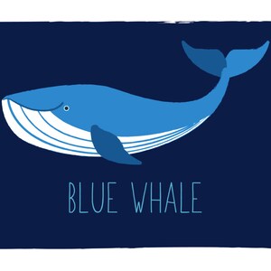 May include: A blue whale illustration on a dark blue background. The whale is depicted in shades of blue with white accents. The text "BLUE WHALE" is written in a playful font below the whale.