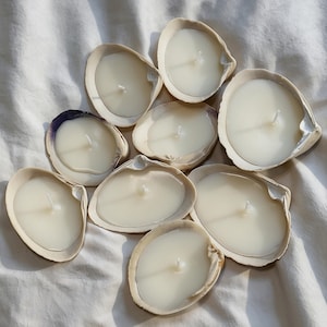 Könnte beinhalten: Eine Ansammlung von neun einzelnen Kerzen, die jeweils in einer cremeweißen Muschelschale untergebracht sind. Jede Schale enthält glattes, undurchsichtiges weißes Wachs mit einem einzelnen, mittig platzierten weißen Docht. Die Muscheln variieren leicht in Form und Größe, wobei eine Schale einen dunkelvioletten Akzent am Rand aufweist, angeordnet in einer Gruppe.