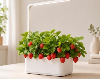 Kit de jardinage d'intérieur intelligent, système de culture d'herbes aromatiques avec éclairage LED, 2 conteneurs