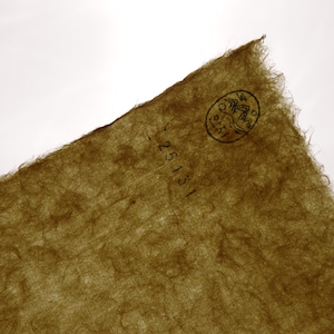May include: A sheet of olive-green handmade paper with a fibrous, textured surface and deckled edges. A circular black ink stamp featuring a mountain illustration and the text 25131 is visible in the upper right corner of the paper.