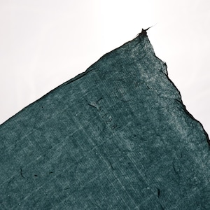 May include: A dark teal, translucent, fibrous sheet of paper with a rough, deckled edge. The material has a visible, organic texture with small embedded fibers throughout and a faint, stamped mark reading 1728.