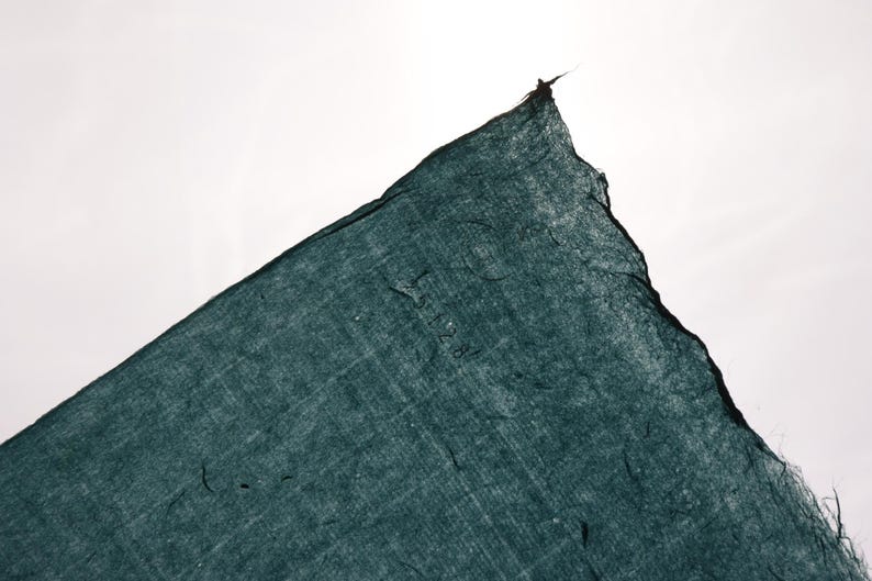 May include: A dark teal, translucent, fibrous sheet of paper with a rough, deckled edge. The material has a visible, organic texture with small embedded fibers throughout and a faint, stamped mark reading 1728.