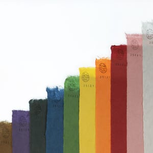 Op de afbeelding: Een set verticale papierstroken gerangschikt in een trapsgewijze formatie, met een spectrum aan kleuren waaronder bruin, paars, donkergroen, blauw, lichtgroen, geel, oranje, rood, roze, lichtgrijs en wit, elk met een gestempeld rond logo en nummer.