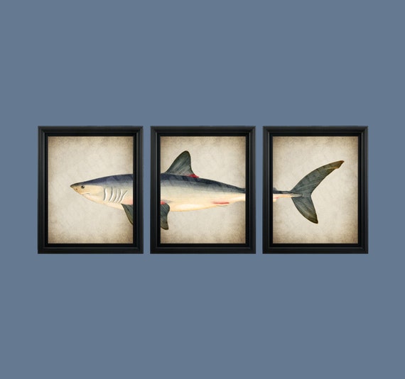 Get Strand themenwandkunst For Android Free
