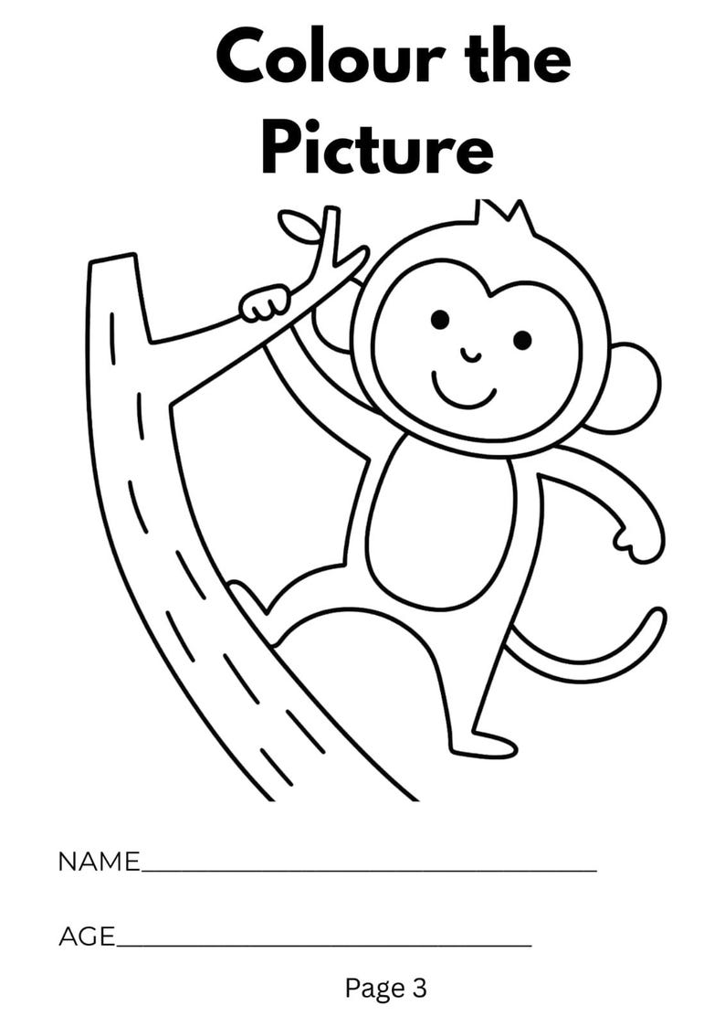Pu&ograve; includere: Una pagina da colorare in bianco e nero raffigurante una scimmia appesa al ramo di un albero. Il testo in alto recita Colour the Picture, con righe in basso per Name e Age, e il testo Page 3 in fondo al foglio.