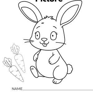 Pu&ograve; includere: Una pagina da colorare in bianco e nero con un coniglio dei cartoni animati e due carote. Il testo in alto recita Colour the Picture. Sotto il coniglio ci sono le righe per Name e Age, e il testo Page 10 &egrave; stampato in fondo al foglio.