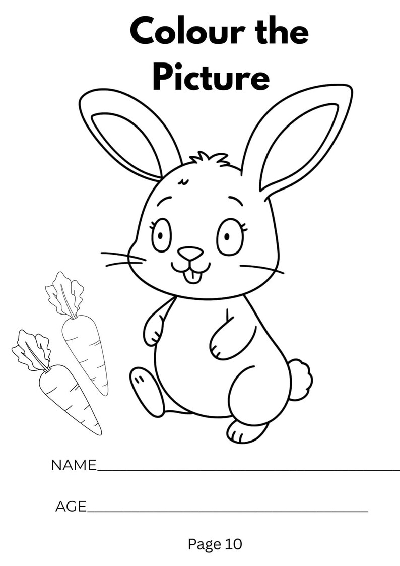 Pu&ograve; includere: Una pagina da colorare in bianco e nero con un coniglio dei cartoni animati e due carote. Il testo in alto recita Colour the Picture. Sotto il coniglio ci sono le righe per Name e Age, e il testo Page 10 &egrave; stampato in fondo al foglio.