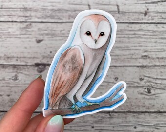 Wise Owl • Vinyl Sticker