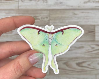 Vinyl Sticker • Luna Moth