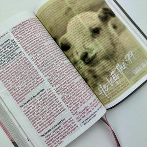 May include: An open book with black printed text on white pages, featuring the Parable of the Lost Son and the Parable of the Lost Coin. A semi-transparent, sepia-toned image of a dog is overlaid on the right page with the text "Light of the 99".