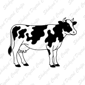 May include: A black and white line art illustration of a cow standing in profile, featuring irregular dark patches across its body, a tail with a tufted end, and small horns. The background contains repeating text reading Shahzad Digital Crafts.