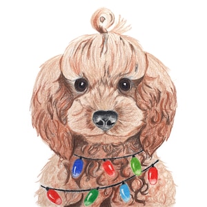 Poodle Christmas Card  -  Poodle Lovers Christmas Card