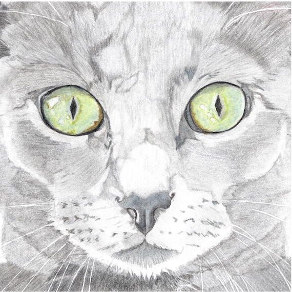 Cat Portrait Card: Burmese Cat Card; Burmese Cat Lovers; Cat Lover