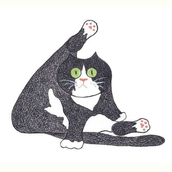 Funny Tuxedo Cat Card, Cute Black and White Cat Lovers Card