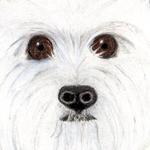 Dog Portrait Card: West Highland Terrier Card; Westie Card; Westie Lovers Card; Dog Lover