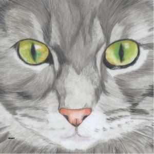 Cat Portrait Card: Grey Tabby Cat; Cat Face Card; Pretty Cat Card; Art Card