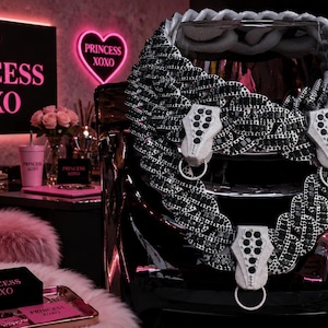 May include: A thick, heavy-duty chain collar featuring a black and white patterned finish with three white, shield-shaped accents. Each accent is adorned with small black studs and a circular ring, creating a bold, industrial-inspired accessory.