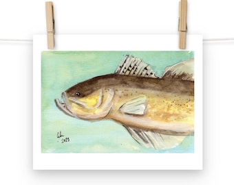 Watercolor Walleye Art Print for Fish and Fishing Lovers (Choose a Size)