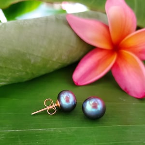 Black Pearl Studs, Pearl Stud Earrings image 1